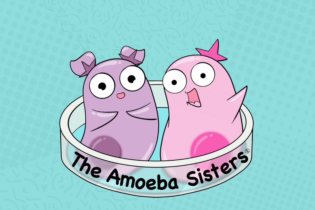Amoeba Cartoon
